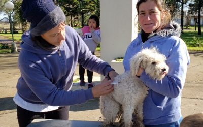 EXITOSA CAMPAÑA GRATUITA DE VACUNACIÓN ANTIRRÁBICA PARA PERROS Y GATOS