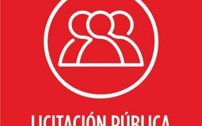 LLAMADO A LICITACIÓN PÚBLICA Nº002/19