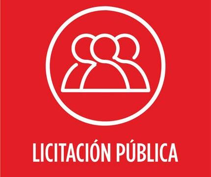 LLAMADO A LICITACIÓN PÚBLICA Nº002/19