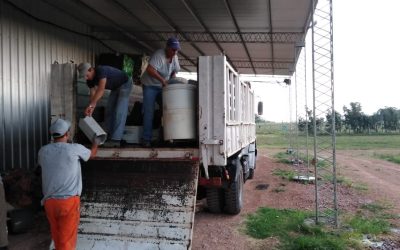 ACTIVIDADES REALIZADAS TENDIENTES A UNA GESTIÓN AMBIENTAL RESPONSABLE