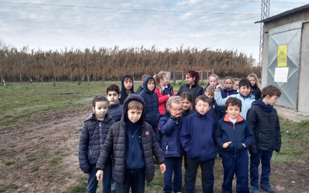 VISITA DE LA ESCUELA PRIMARIA Nº 14 “TRES DE FEBRERO” A LA PLANTA DE SEPARACIÓN Y VALORIZACIÓN DE RESIDUOS DE 1º DE MAYO