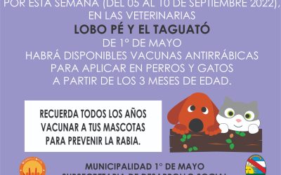 SE EXTENDIÓ UNA SEMANA LA VACUNACIÓN ANTIRRÁBICA PARA PERROS Y GATOS EN VETERINARIAS LOCALES