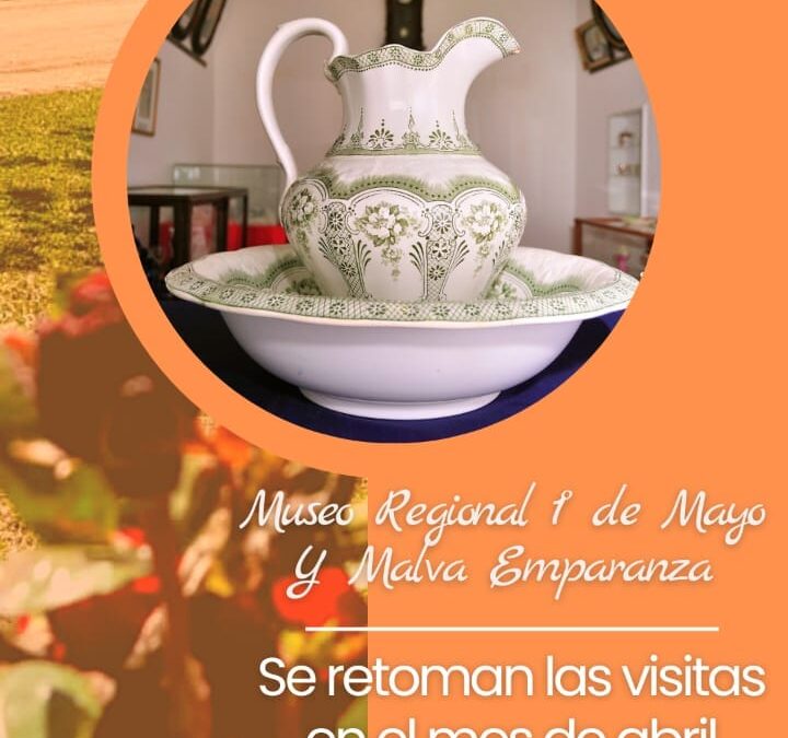 SE RETOMAN LAS VISITAS AL MUSEO.