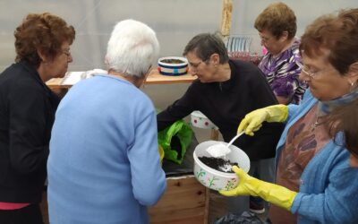 TALLER: TERAPIA HORTÍCOLA.