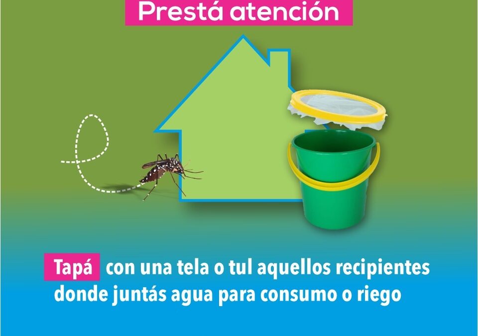 CAMPAÑA DE PREVENCIÓN: “SIN MOSQUITOS NO HAY DENGUE”