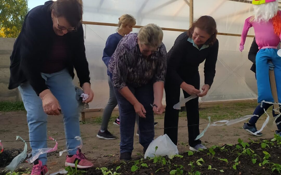 TERAPIA HORTÍCOLA: UN TALLER DE REENCUENTROS, APRENDIZAJES E INCORPORACIÓN DE HÁBITOS SALUDABLES