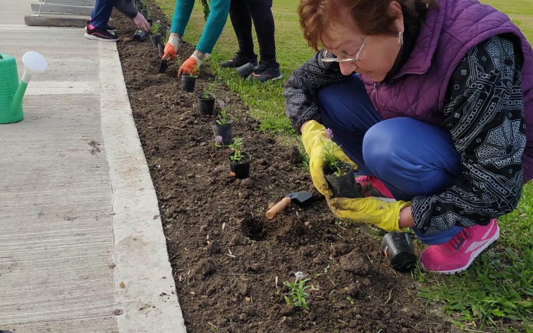 HERMOSA INICIATIVA QUE SURGE DESDE ALUMNOS Y PROFES DEL TALLER TERAPIA HORTÍCOLA