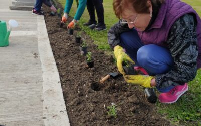 HERMOSA INICIATIVA QUE SURGE DESDE ALUMNOS Y PROFES DEL TALLER TERAPIA HORTÍCOLA